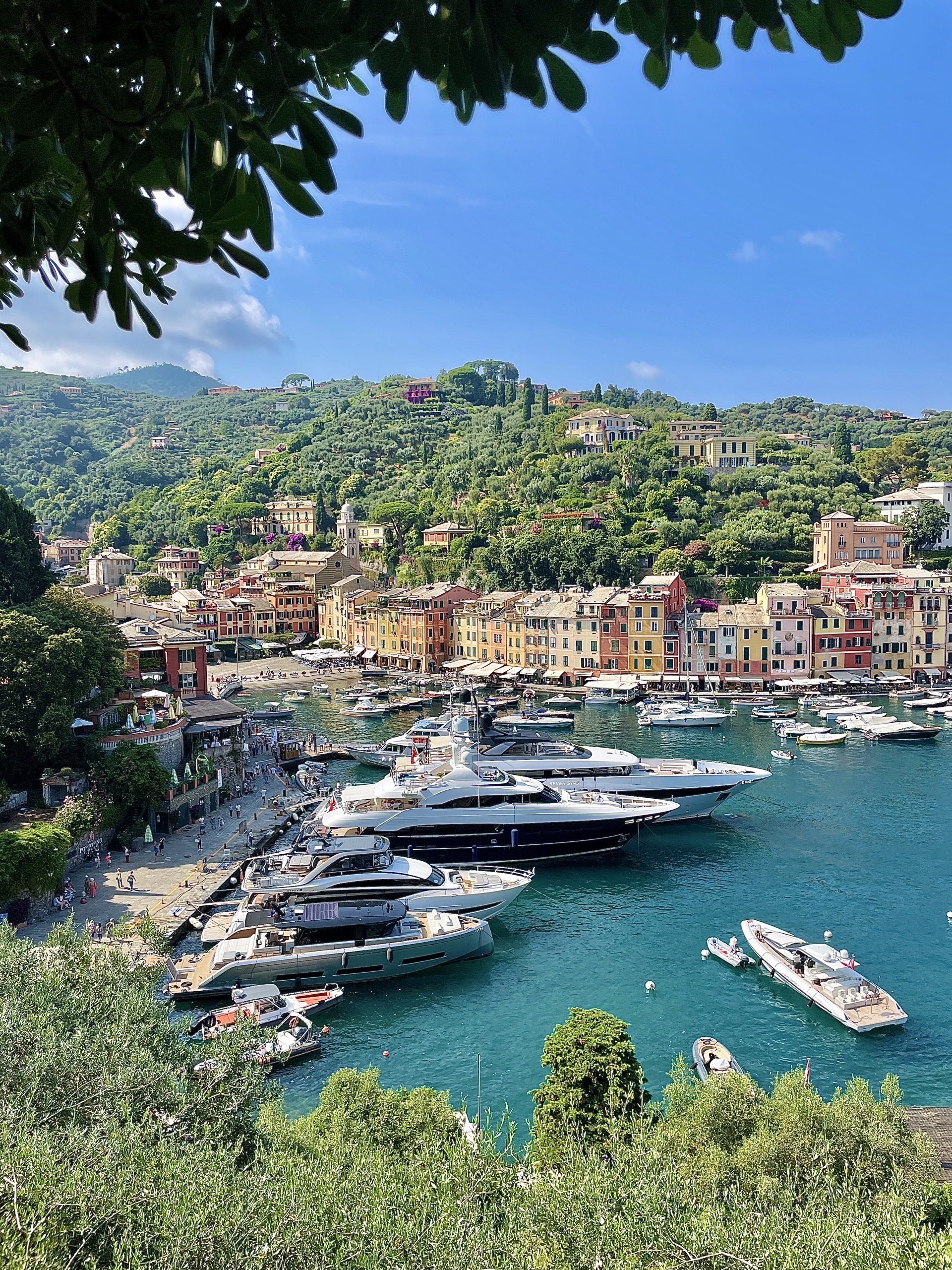 Portofino view